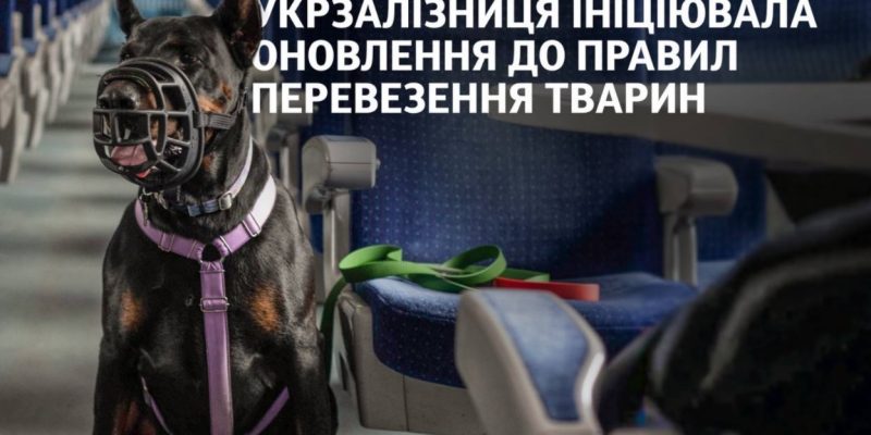 Нові правила перевезення тварин у потягах: що зміниться? 
