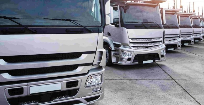 Компания Logistic Solutions: быстрая и качественная перевозка грузов между странами