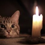 Світло 2-4 години на добу?