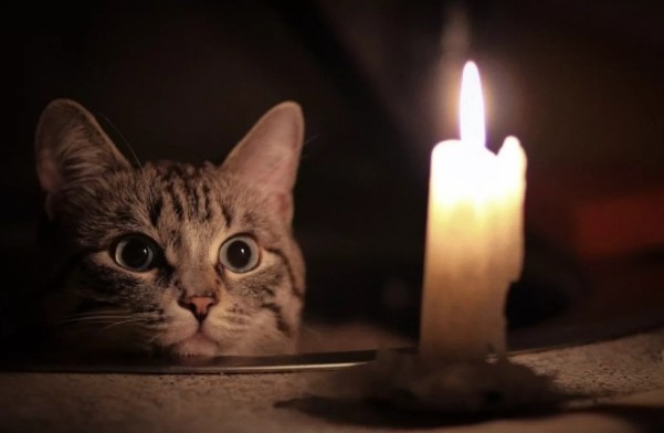 Світло 2-4 години на добу? 