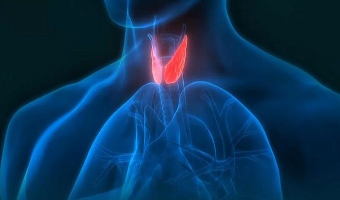 Ендокринолог у Києві: коли і чому варто звернутися?