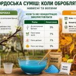 Бордоська суміш навесні та восени: коли обробляти сад і город