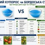 Мідний купорос чи бордоська суміш: що краще для саду