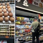 Ціни на яйця в Україні знизилися: скільки коштує десяток