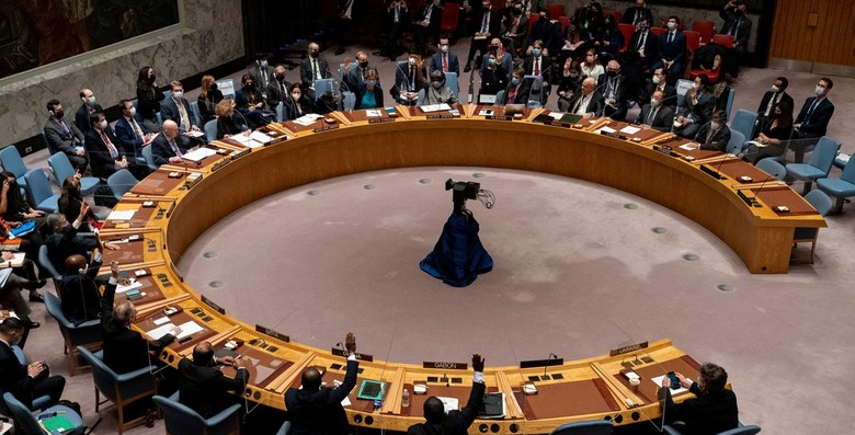 Франція розкритикувала США після голосування в ООН щодо Тюрка 