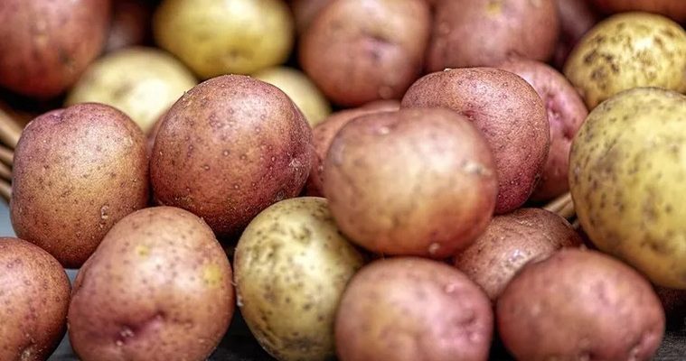 Ціни на картоплю в Україні: дешевої у 2026 році вже не буде 