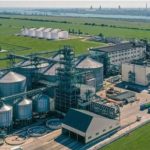 Allseeds призупиняє роботу в Україні через загрозу атак РФ