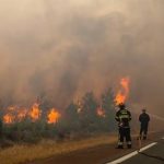Франція та Іспанія борються з рекордними лісовими пожежами