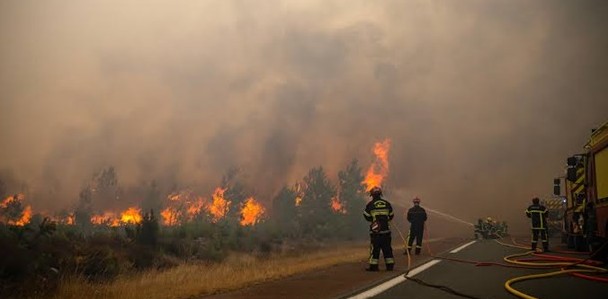 Франція та Іспанія борються з рекордними лісовими пожежами 