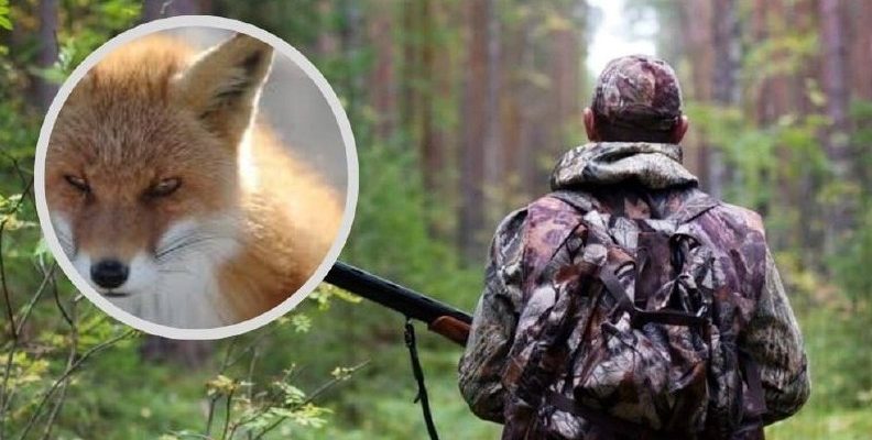 UAnimals закликала повністю заборонити полювання в Україні