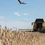 Війна та спека посилюють ризик глобальної продовольчої кризи