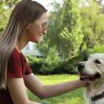 Штрафи для власників собак і котів 2026: що передбачає закон