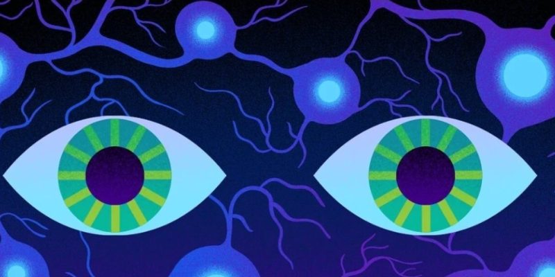 Від сну до мотивації: як орексини змінюють фармацевтику 