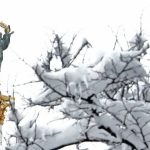 Зима 2026–2027 в Україні: прогноз температури та опадів