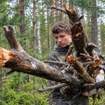 Українцям загрожує штраф до 1530 грн за незаконний збір деревини в лісі
