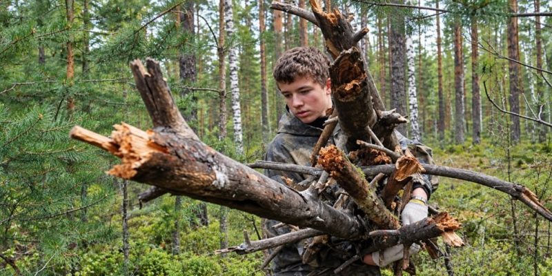 Українцям загрожує штраф до 1530 грн за незаконний збір деревини в лісі 