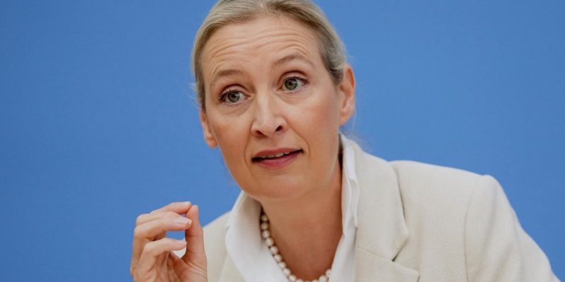 Вайдель розкритикувала Мерца через допомогу Києву 