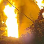 На Київщині через обстріл згорів центр реабілітації птахів «Садиба Нюшаник»