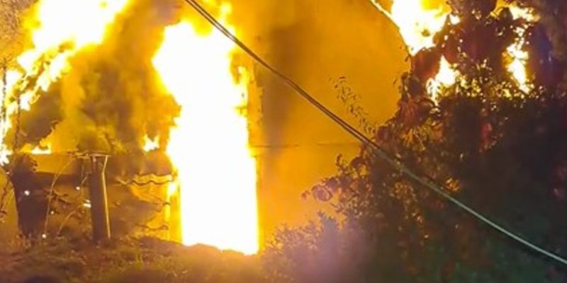 На Київщині через обстріл згорів центр реабілітації птахів «Садиба Нюшаник» 